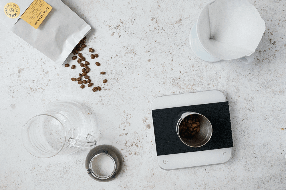 V60 Brew Guide For Beginners The Cooking World
